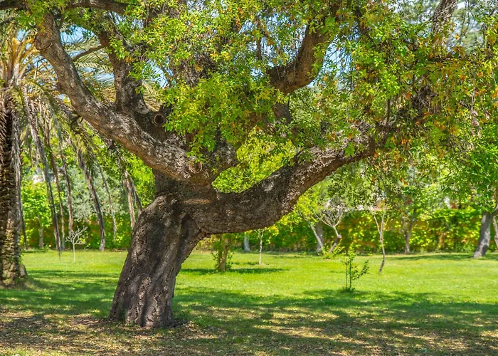 Garden Park Όλμπια