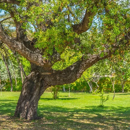 Garden Park Olbia